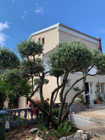 Taverna coctel Porec Esterno foto