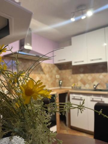 Taverna coctel Porec Esterno foto